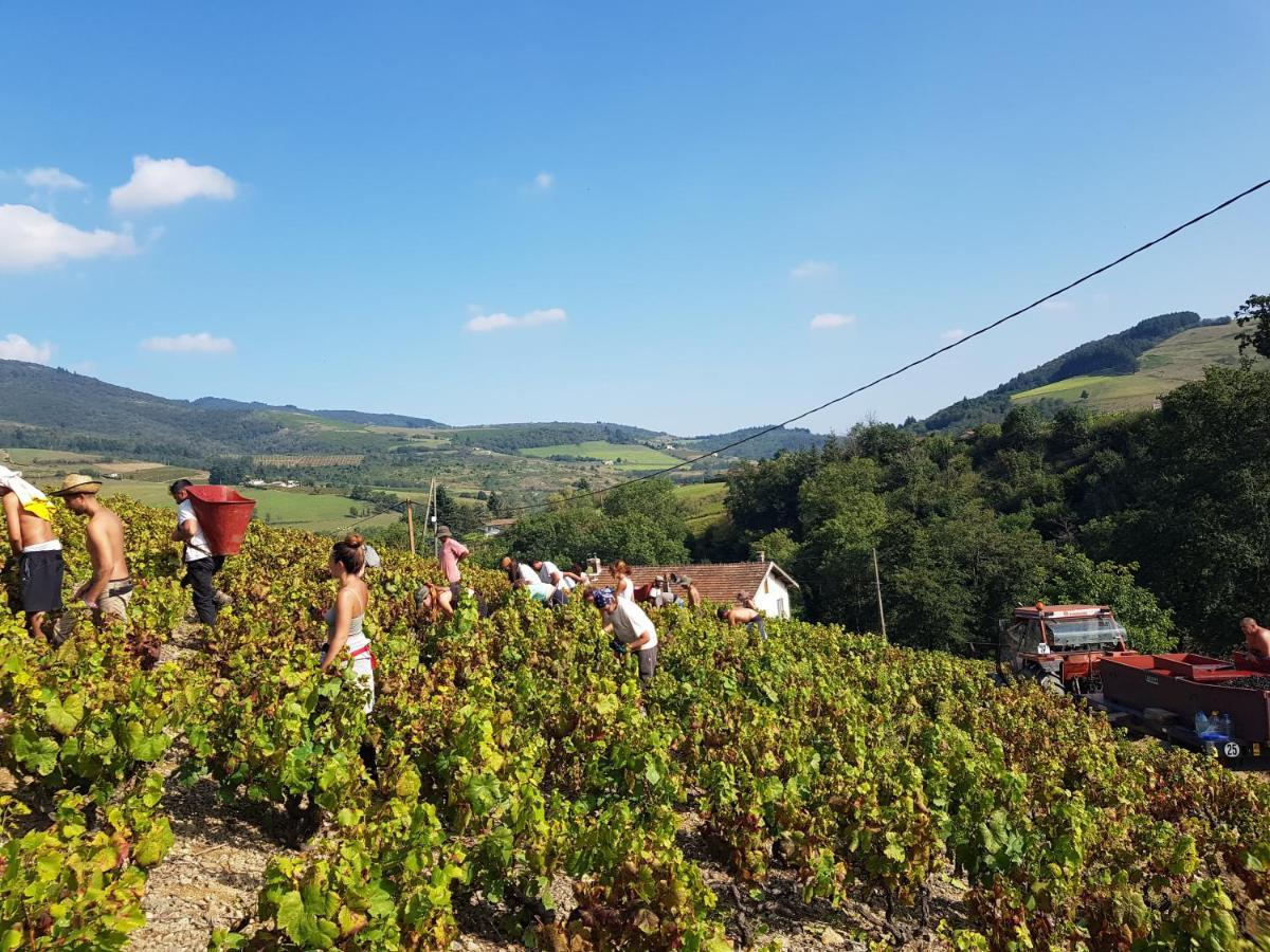 Ancien Cuvage Du Beaujolais - Studio Tout Confort Villa Saint-Didier-sur-Beaujeu Buitenkant foto